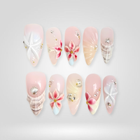 Blush Shell