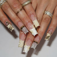Ivory Shell